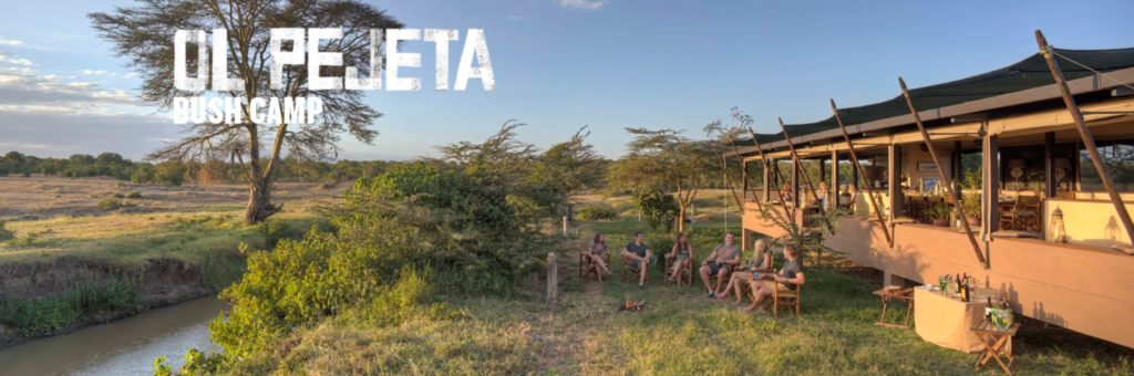 Ol Pejeta Bush Camp